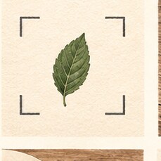Illustration for “One Thing in View”